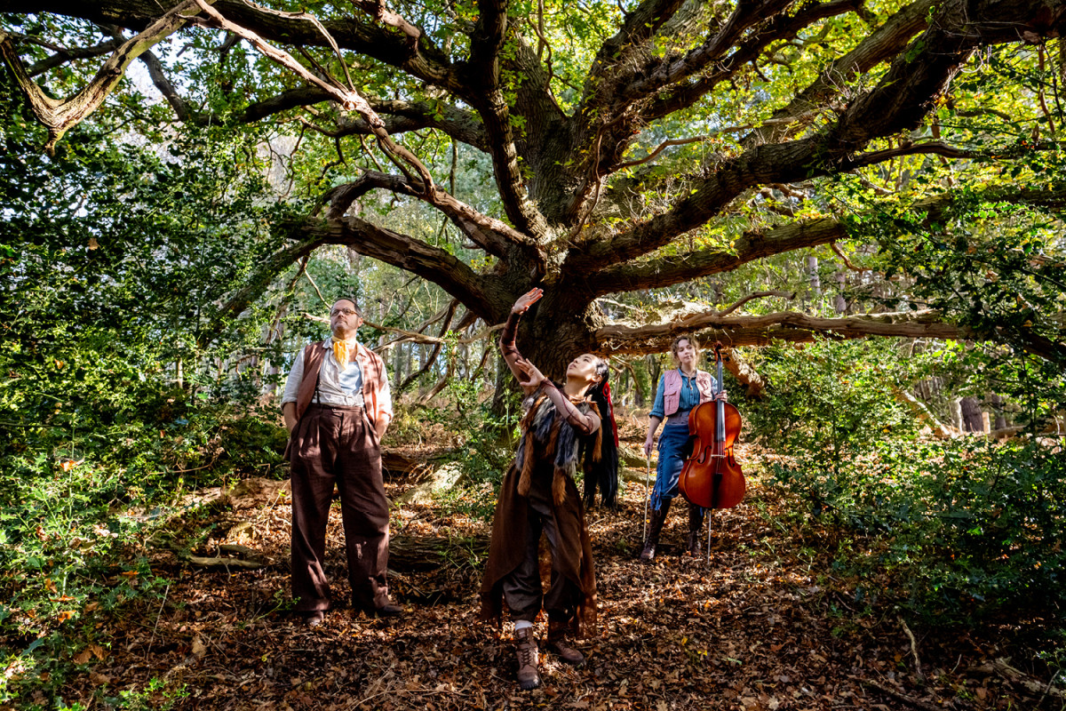 Frozen Light: The Ancient Oak of Baldor from https://sjt.uk.com