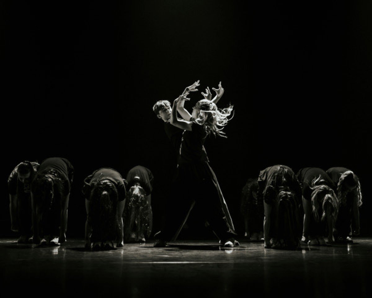 Everybody Dance Festival 2027 from https://sjt.uk.com