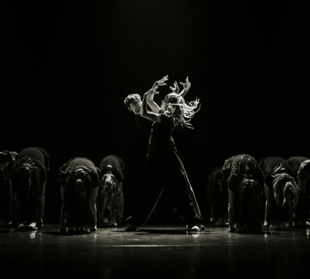 Everybody Dance Festival 2027 from https://sjt.uk.com