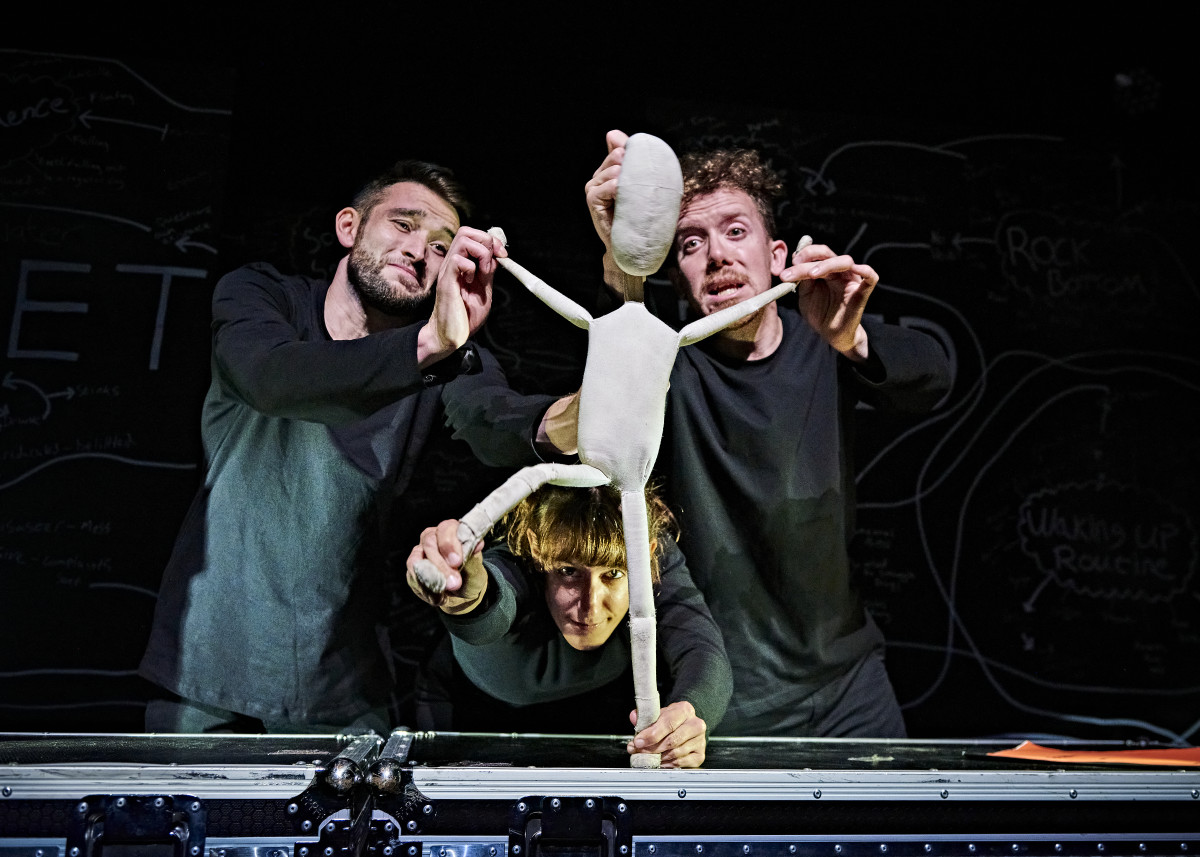 Meet Fred from https://sjt.uk.com