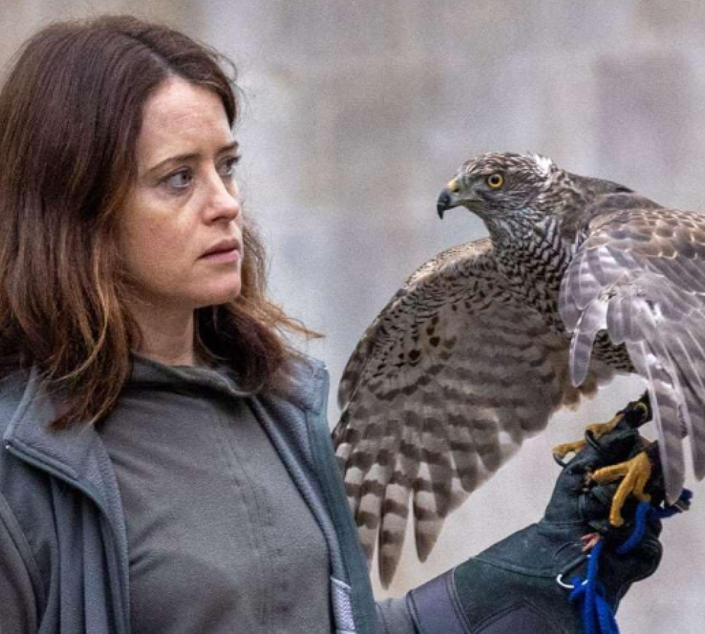 H is for Hawk (12A) from https://sjt.uk.com