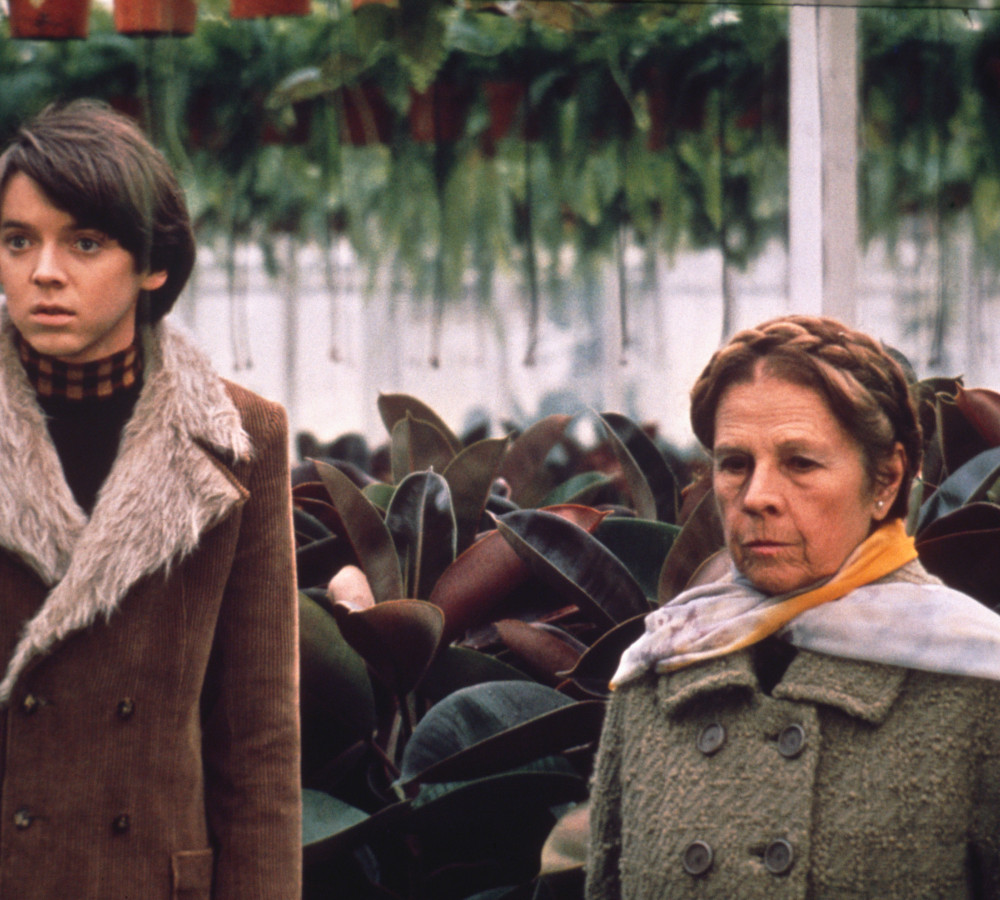 Moviedrome: Harold and Maude (1971, 15) from https://sjt.uk.com