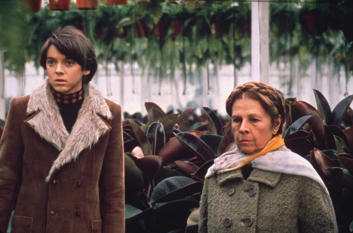 Moviedrome: Harold and Maude (1971, 15) from https://sjt.uk.com