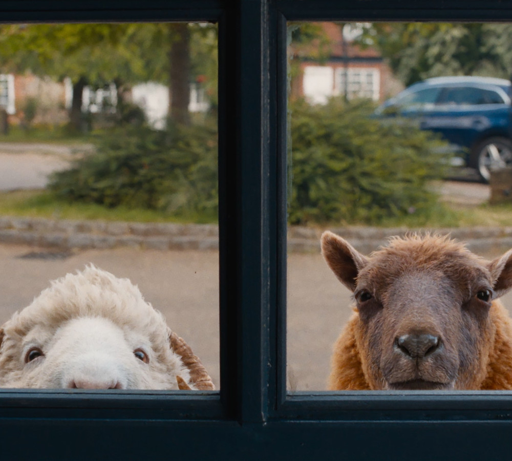 The Sheep Detectives (PG) from https://sjt.uk.com
