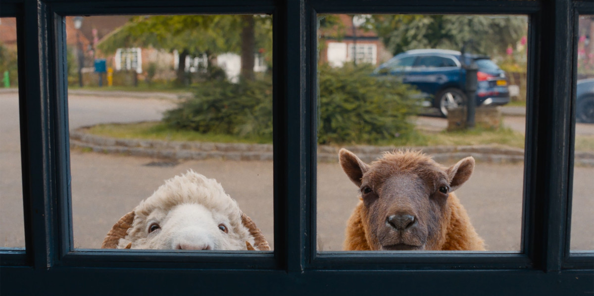 The Sheep Detectives (PG) from https://sjt.uk.com