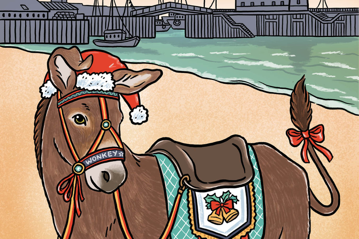 Wonkey Donkey & the Magic Christmas Carrot from https://sjt.uk.com