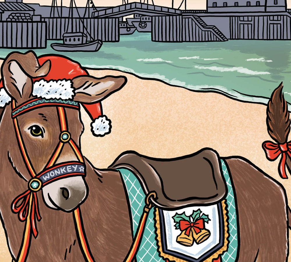 Wonkey Donkey & the Magic Christmas Carrot from https://sjt.uk.com